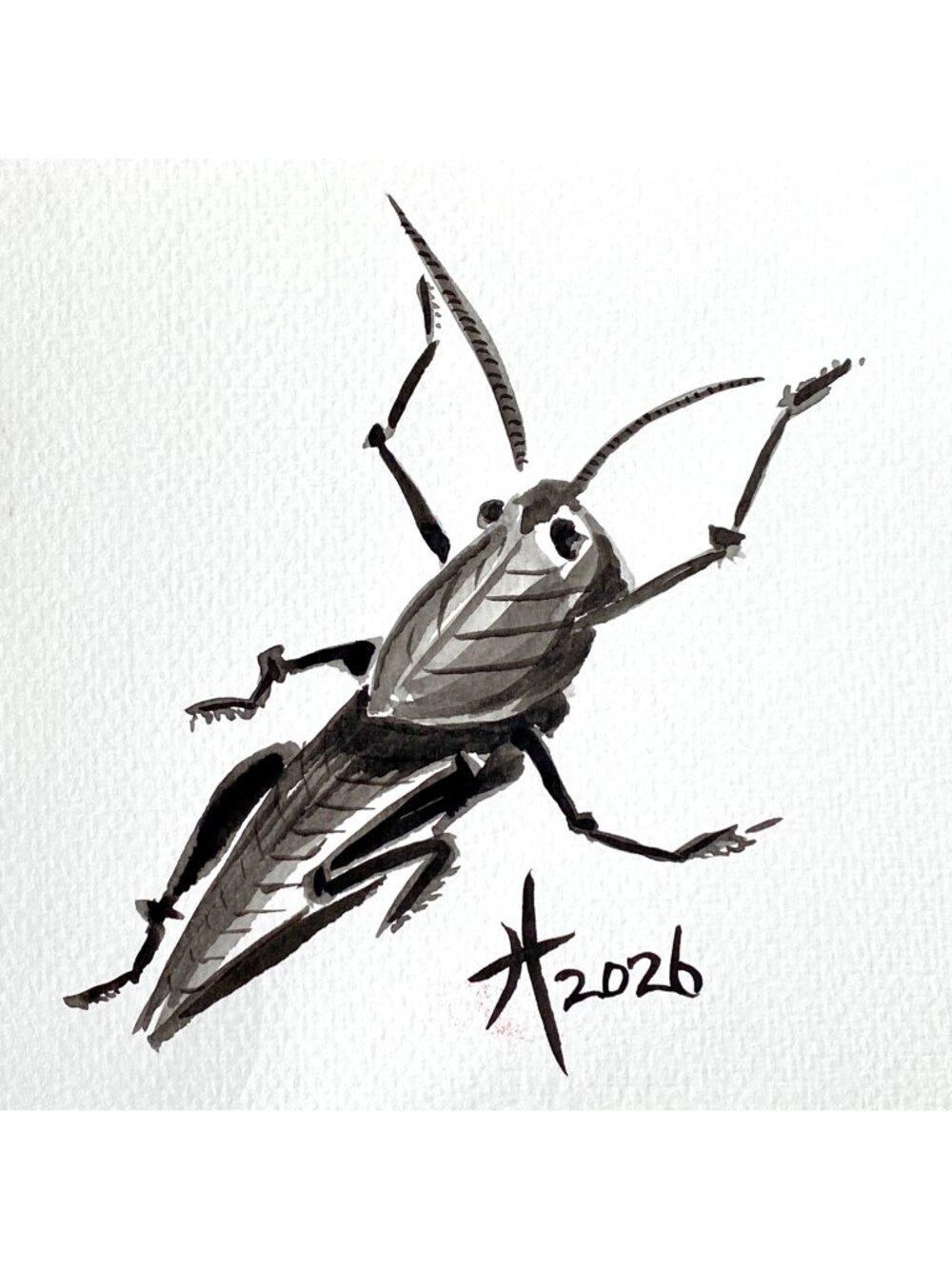 Grasshopper Original Art Sumi Ink Painting 8x10in Matted Frame Ready